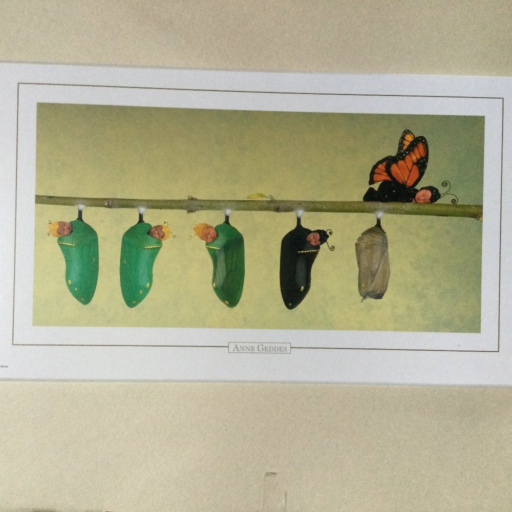 Anne Geddes produced in New Zealand printed in Australia wall plaque